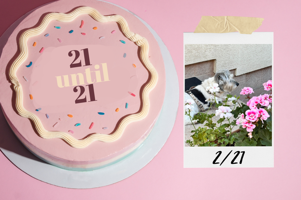 21 until 21 🎂 Az üres vajasdoboz és félórás délelőtti baba-alvást minden anyukának!&nbsp;2/21